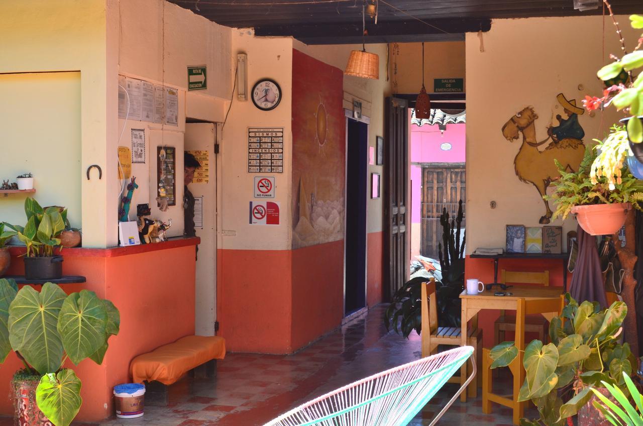 Hostal El Rincon De Los Camellos San Cristobal de las Casas Exterior photo