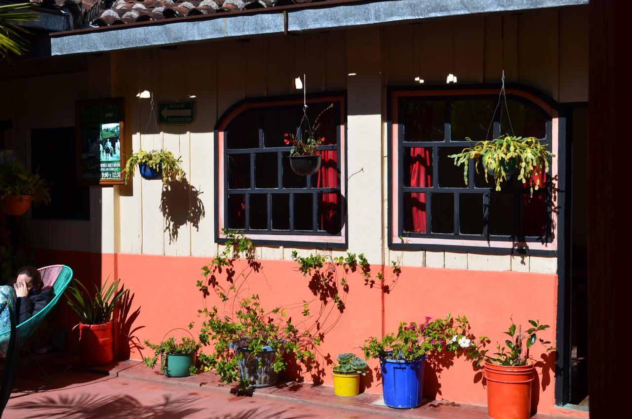 Hostal El Rincon De Los Camellos San Cristobal de las Casas Exterior photo